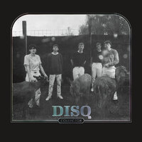 https://disq.bandcamp.com/album/collector